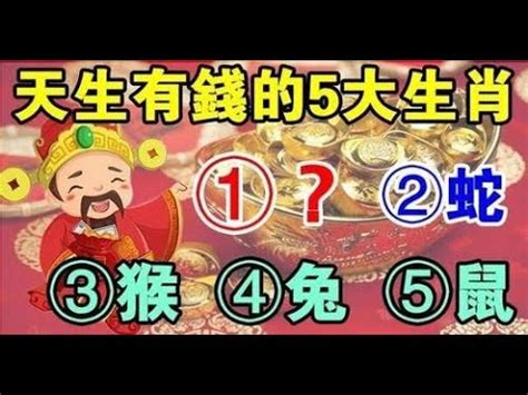 屬猴座向|十二生肖宅運大公開